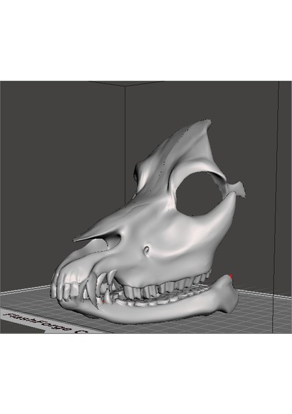 Canavar Kafatası Maskesi 3D fiyatları