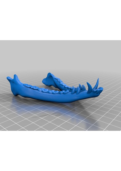 Canavar Kafatası Maskesi 3D modelleri