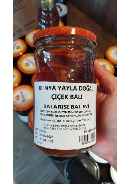 Doğal Konya Yayla Çiçek Balı 850 gr – Katkısız ve bal modelleri