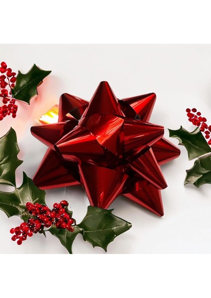 3 Adet Parlak Kırmızı Büyük BOY-10CM Metalik Fiyonk Hediye Paketi Süsü Rafya Yapışkanlı Yıldız Süs