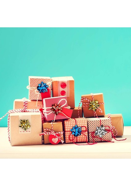 3 Adet Parlak Kırmızı Büyük BOY-10CM Metalik Fiyonk Hediye Paketi Süsü Rafya Yapışkanlı Yıldız Süs