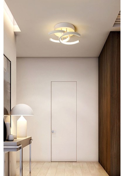 Holled Hol Koridor Giriş Için Modern Ledli Avize