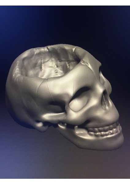 Kafatası Kabı (Plastik Aparattır) 3D fiyatları