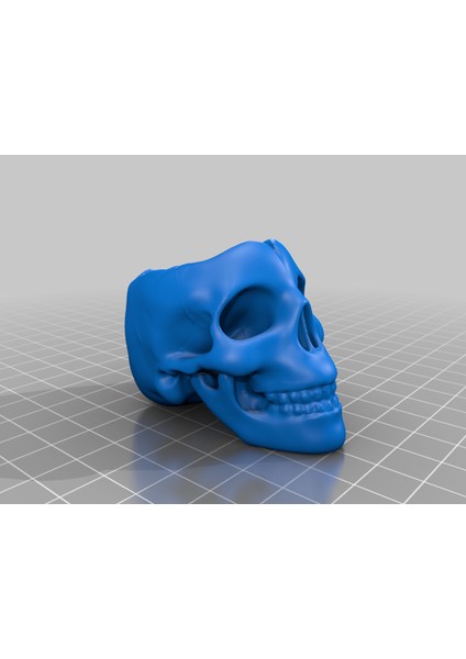 Kafatası Kabı (Plastik Aparattır) 3D modelleri