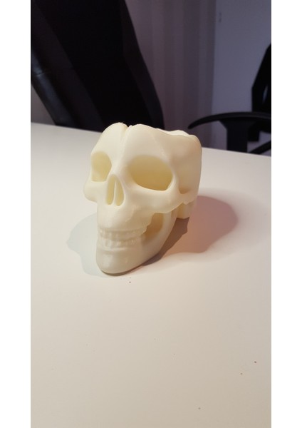 Kafatası Kabı (Plastik Aparattır) 3D indirimleri