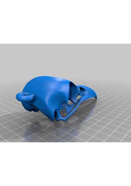 Kuzgun Kafatası Kolye (Plastik Aparattır) 3D modelleri