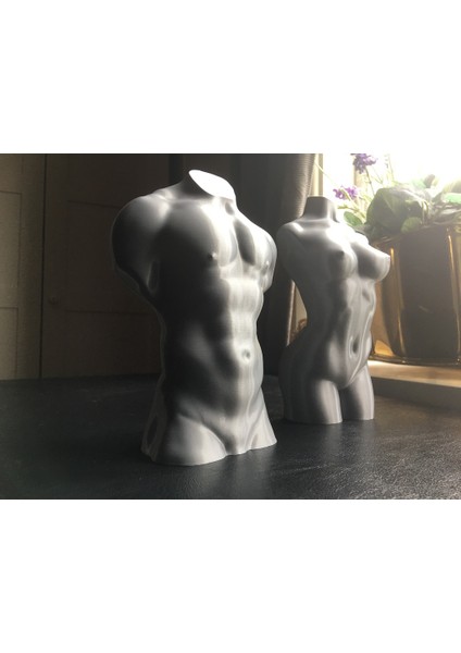 Vazo Modu Için Optimize Edilmiş Erkek Gövdesi (Plastik Aparattır!!!) 3D