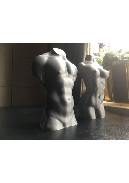 Vazo Modu Için Optimize Edilmiş Erkek Gövdesi (Plastik Aparattır!!!) 3D fiyatları
