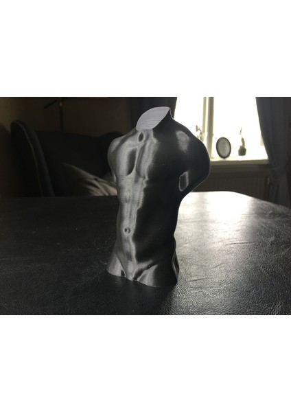 Vazo Modu Için Optimize Edilmiş Erkek Gövdesi (Plastik Aparattır!!!) 3D modelleri