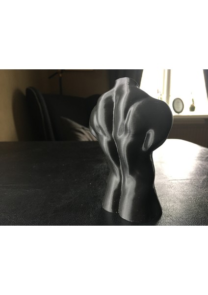 Vazo Modu Için Optimize Edilmiş Erkek Gövdesi (Plastik Aparattır!!!) 3D fırsatları