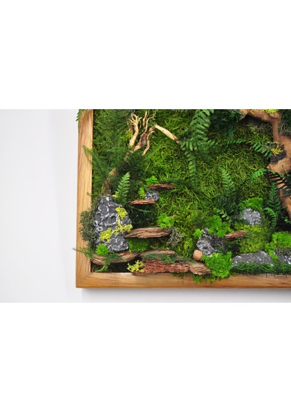 Doğal Yosunlu Ahşap Duvar Tablosu | 30X30 cm | Gerçek Korunmuş Yosun, Ağaç Kabuğu ve Taş Detaylı | Bakım Gerektirmez