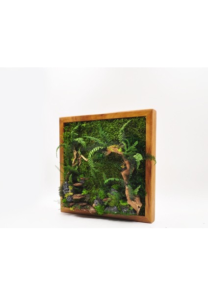 Doğal Yosunlu Ahşap Duvar Tablosu | 30X30 cm | Gerçek Korunmuş Yosun, Ağaç Kabuğu ve Taş Detaylı | Bakım Gerektirmez modelleri