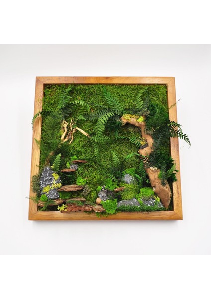 Doğal Yosunlu Ahşap Duvar Tablosu | 30X30 cm | Gerçek Korunmuş Yosun, Ağaç Kabuğu ve Taş Detaylı | Bakım Gerektirmez indirimleri