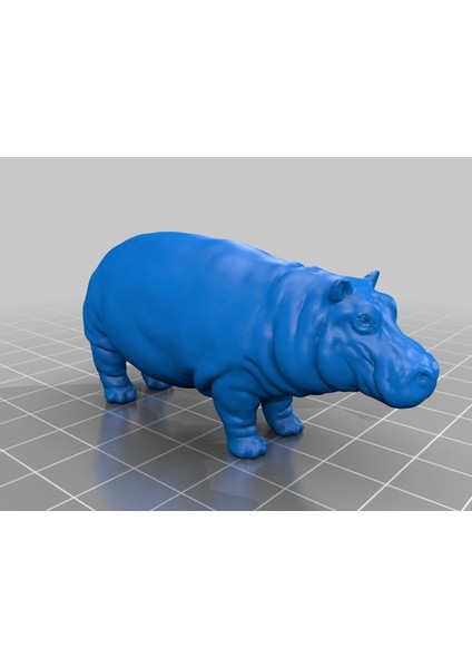 Su Aygırı 3D Verileri (Plastik Aparattır!!!) 3D