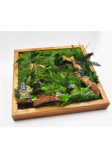 Doğal Yosunlu Ahşap Duvar Tablosu | 30X30 cm | Gerçek Korunmuş Yosun, Ağaç Kabuğu ve Taş Detaylı | Bakım Gerektirmez
