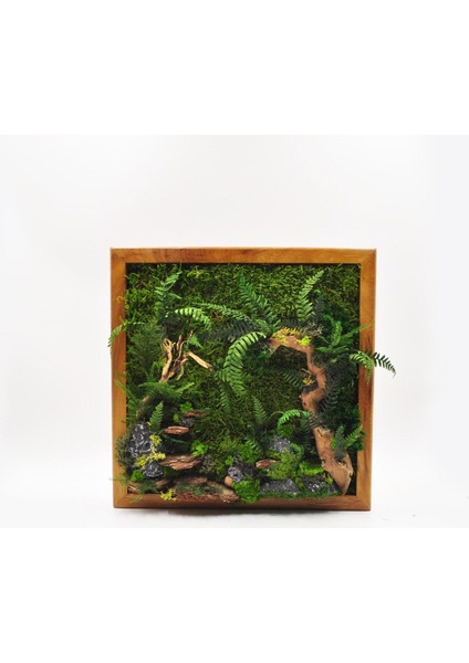 Doğal Yosunlu Ahşap Duvar Tablosu | 30X30 cm | Gerçek Korunmuş Yosun, Ağaç Kabuğu ve Taş Detaylı | Bakım Gerektirmez