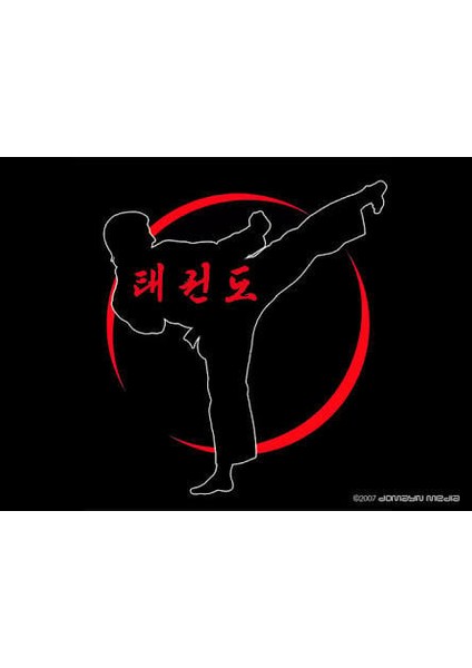 Taekwondo Keychain 3D fırsatları