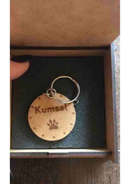 Şık Dikdörtgen Kedi Künyesi, 63CM Zincir ve Çan ile Hazır!