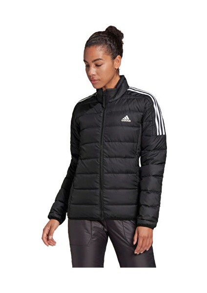 kadın mont GH4593 modelleri