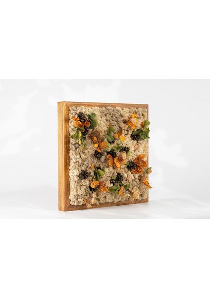 30X30 cm Sonbahar Temalı Doğal Yosun Duvar Tablosu | El Yapımı & Bakım Gerektirmez | Ahşap Çerçeveli Rustic Bitki Dekoru indirimleri