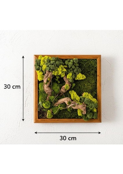 Doğal Yosun ve Ağaç Parçalı Duvar Dekoru | 30X30 cm | El Yapımı & Bakım Gerektirmez | Ahşap Çerçeveli Bitki Tablosu fiyatları