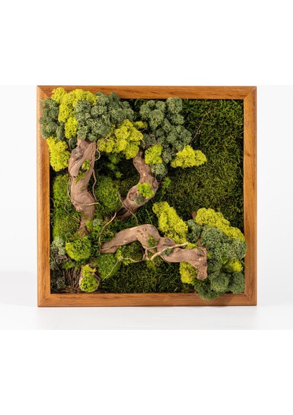 Doğal Yosun ve Ağaç Parçalı Duvar Dekoru | 30X30 cm | El Yapımı & Bakım Gerektirmez | Ahşap Çerçeveli Bitki Tablosu modelleri