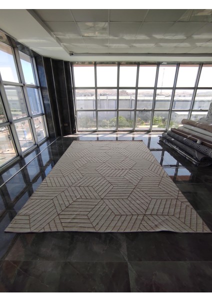 Modern Zarif Kilim 240*305