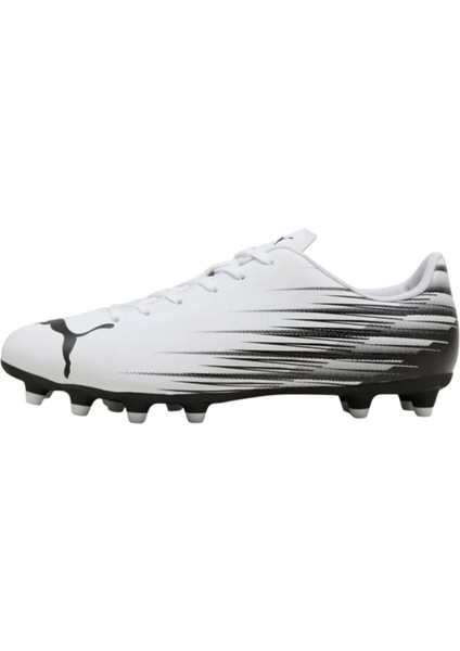 Attacanto Iı Fg/ag modelleri