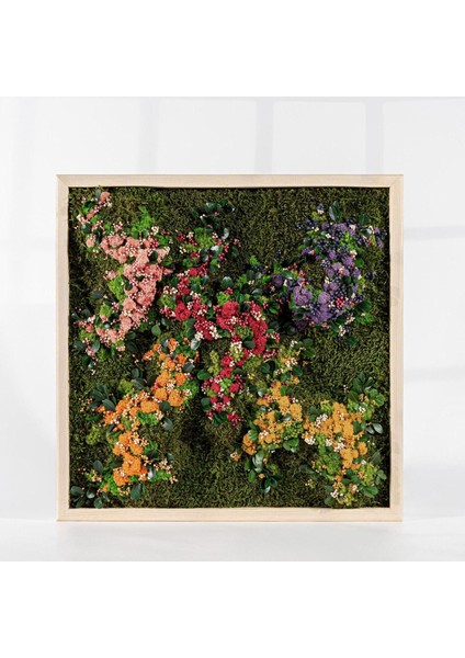 45X45 cm Renkli Doğal Yosun Tablosu | El Yapımı Liken Moss Duvar Dekoru | Bakım Gerektirmez – Ahşap Çerçeveli