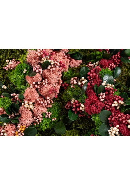 45X45 cm Renkli Doğal Yosun Tablosu | El Yapımı Liken Moss Duvar Dekoru | Bakım Gerektirmez – Ahşap Çerçeveli fiyatları
