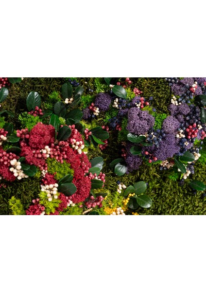 45X45 cm Renkli Doğal Yosun Tablosu | El Yapımı Liken Moss Duvar Dekoru | Bakım Gerektirmez – Ahşap Çerçeveli modelleri