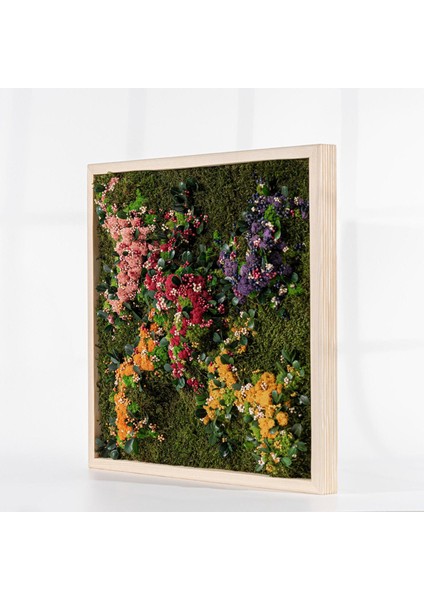 45X45 cm Renkli Doğal Yosun Tablosu | El Yapımı Liken Moss Duvar Dekoru | Bakım Gerektirmez – Ahşap Çerçeveli fırsatları