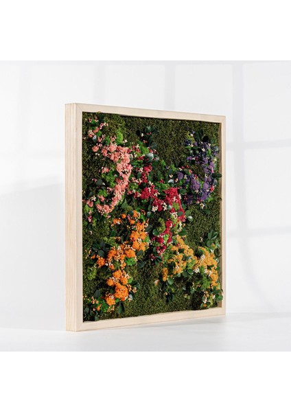 45X45 cm Renkli Doğal Yosun Tablosu | El Yapımı Liken Moss Duvar Dekoru | Bakım Gerektirmez – Ahşap Çerçeveli indirimleri