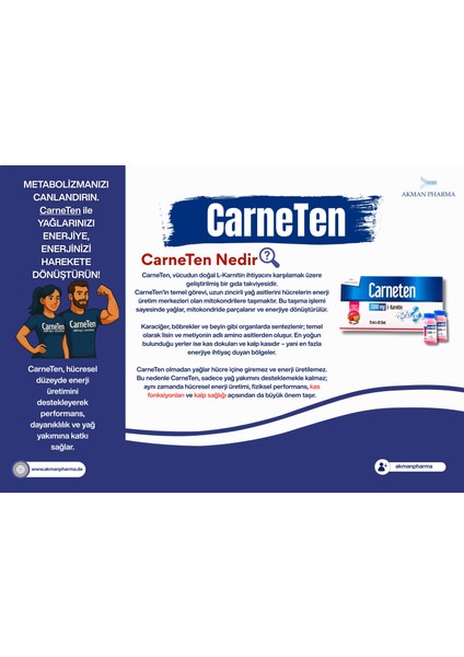 2000 Mg L-Karnitin Gıda Takviyesi – 15ML x 10 Shot fırsatları