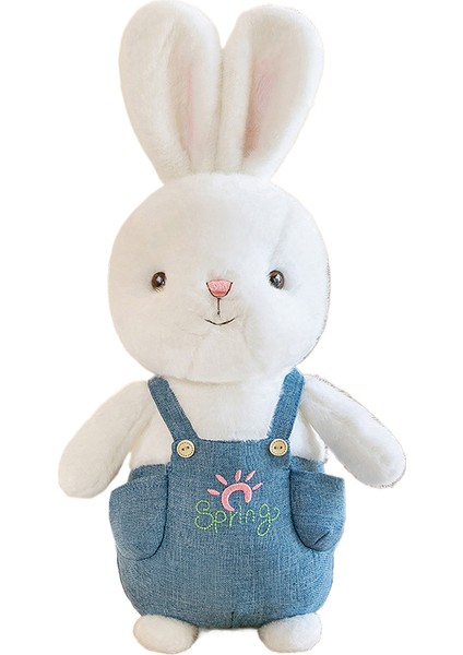 35CM Güneş Tavşanı Yatıştırıcı Bebek Bebek Uyur (Yurt Dışından)