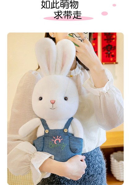 35CM Güneş Tavşanı Yatıştırıcı Bebek Bebek Uyur (Yurt Dışından) modelleri