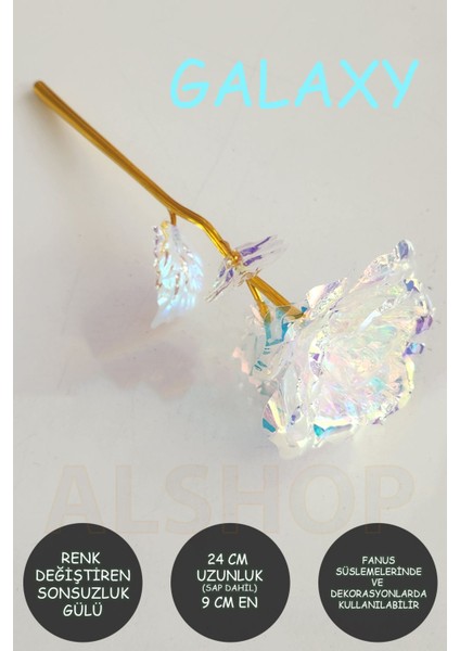 Sonsuzluk Gülü Rengarenk Hologramlı Sevgiliye Hediye 24 cm Galaxy 1 Adet modelleri