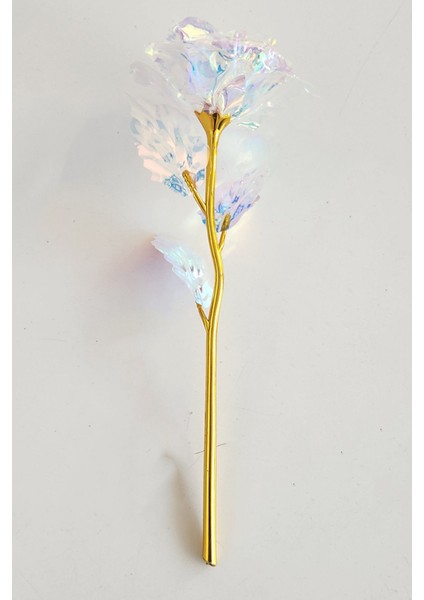 Sonsuzluk Gülü Rengarenk Hologramlı Sevgiliye Hediye 24 cm Galaxy 1 Adet