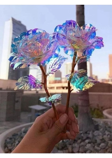 2 Adet Sonsuzluk Gülü Galaxy Sevgiliye Hediye Anneler Sevgililer Günü Özel Gün Hediyesi