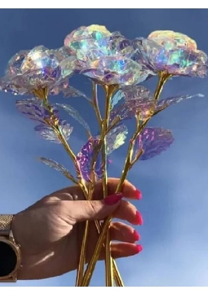 2 Adet Sonsuzluk Gülü Galaxy Sevgiliye Hediye Anneler Sevgililer Günü Özel Gün Hediyesi fiyatları