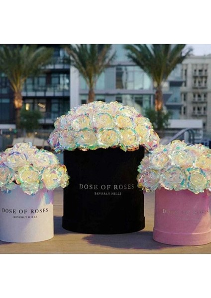 2 Adet Sonsuzluk Gülü Galaxy Sevgiliye Hediye Anneler Sevgililer Günü Özel Gün Hediyesi modelleri