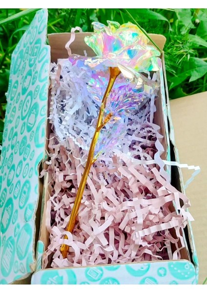 2 Adet Sonsuzluk Gülü Galaxy Sevgiliye Hediye Anneler Sevgililer Günü Özel Gün Hediyesi fırsatları