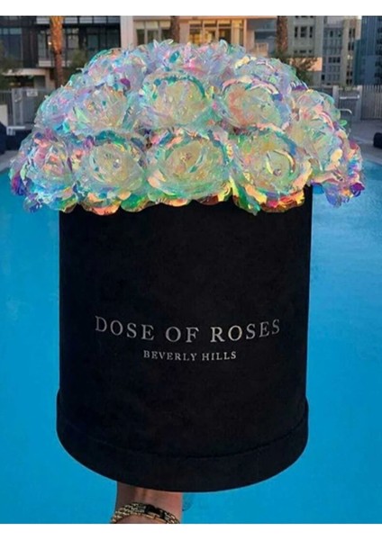 2 Adet Sonsuzluk Gülü Galaxy Sevgiliye Hediye Anneler Sevgililer Günü Özel Gün Hediyesi indirimleri