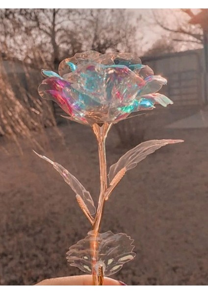 2 Adet Sonsuzluk Gülü Galaxy Sevgiliye Hediye Anneler Sevgililer Günü Özel Gün Hediyesi