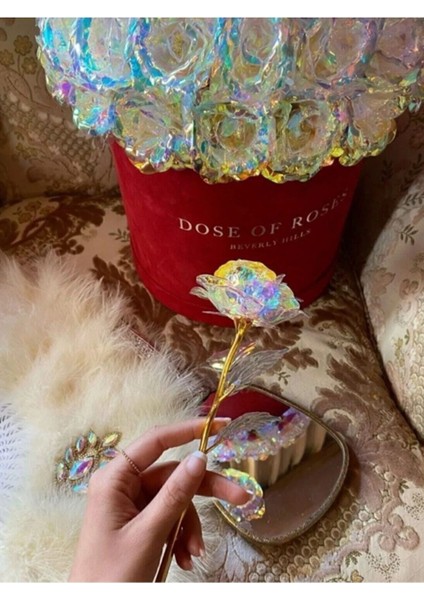 2 Adet Sonsuzluk Gülü Galaxy Sevgiliye Hediye Anneler Sevgililer Günü Özel Gün Hediyesi