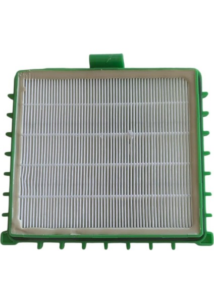 - RO5823 Silence Force Extrem - Elektrikli Süpürge Uyumlu Hepa Filtre - ( 2 Adet ) - ( Yeşil ) - ( Uyumlu Modeller Açıklamada ) modelleri