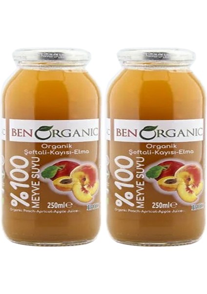 Kayısı & Şeftali & Elma Suyu 250 ml - 2'li fiyatları