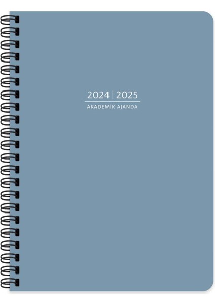Color 16 * 23 Spiralli Akademik Ajanda - Mavi