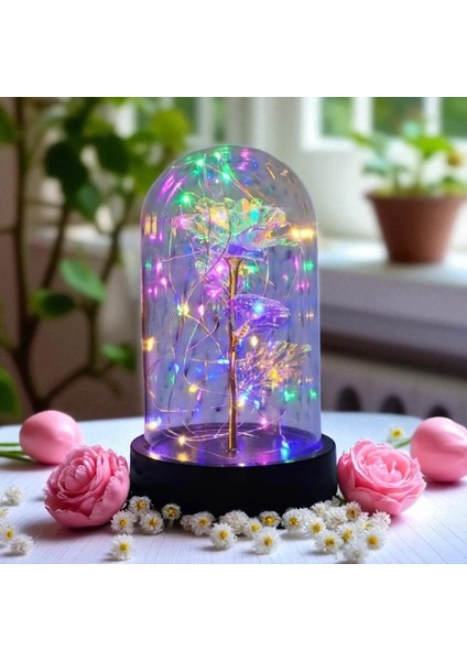Dekoratif Hediyelik Rengarenk Peri LED Işıklı Solmayan Sonsuzluk Gülü Fanuslu Gece Lambası