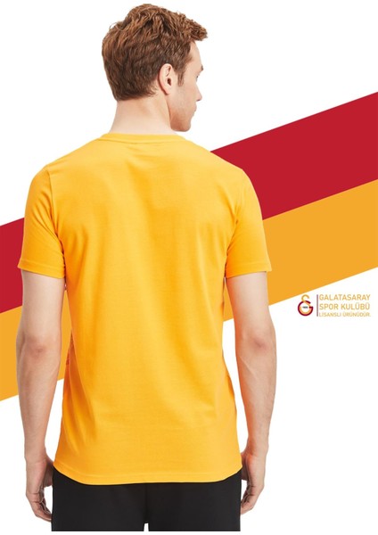 Orijinal Lisanslı Aslan Baskılı Sarı T-Shirt + Bileklik Set Hediyelik Ahşap Kutulu modelleri